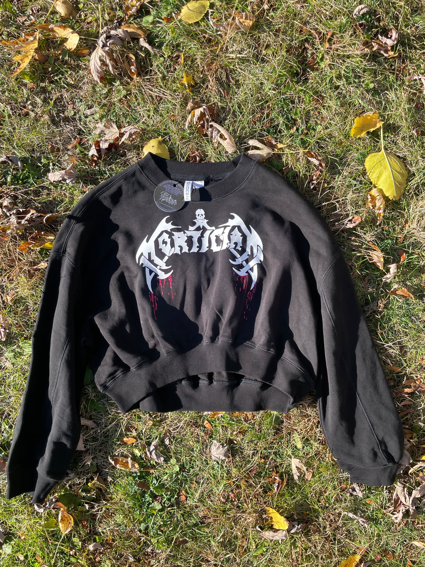 A black sweatshirt with a white and red graphic design lies on the ground, surrounded by fallen leaves.